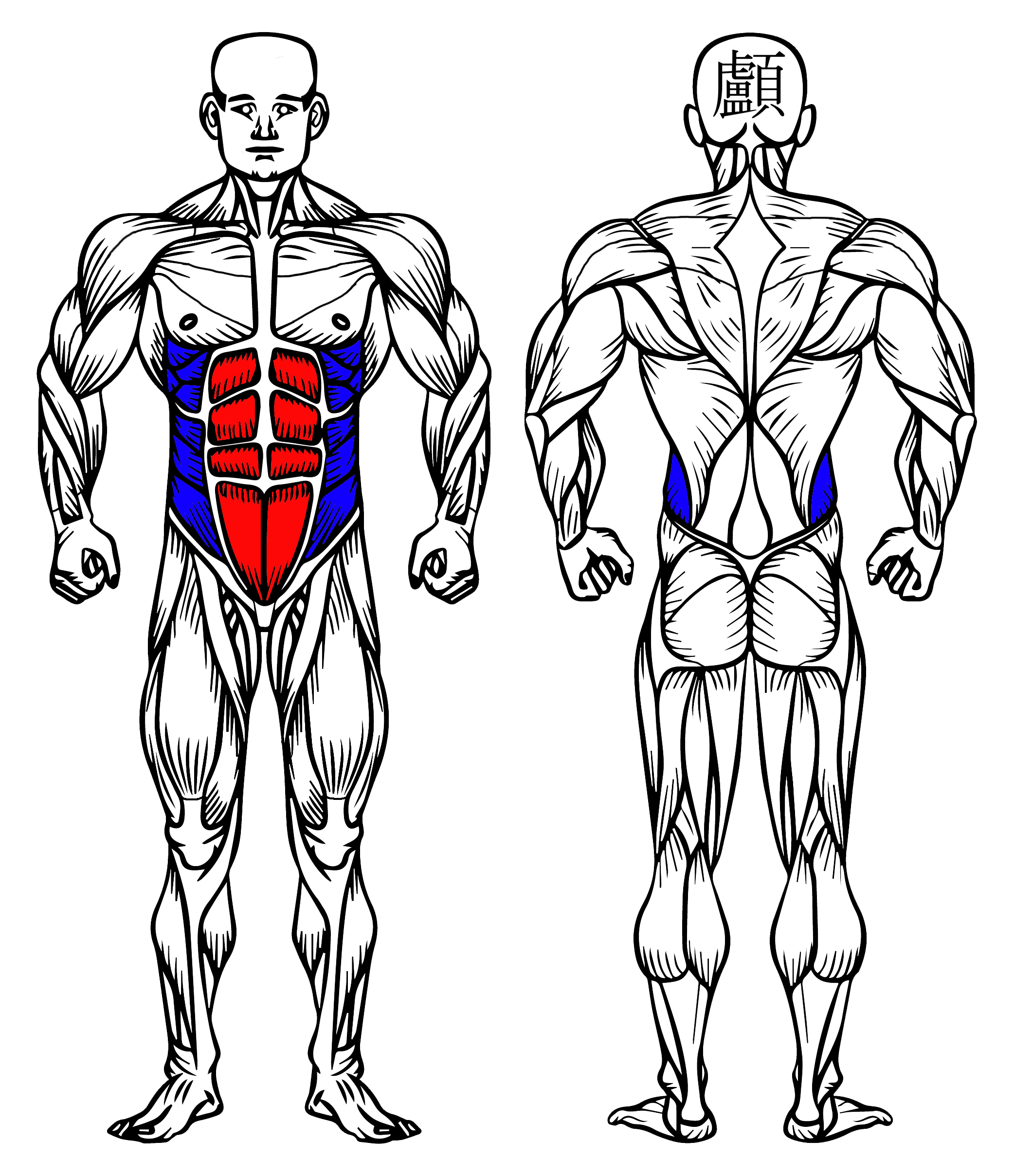 Hollow Body Crunch: How To Do It, Muscles Worked & Benefits